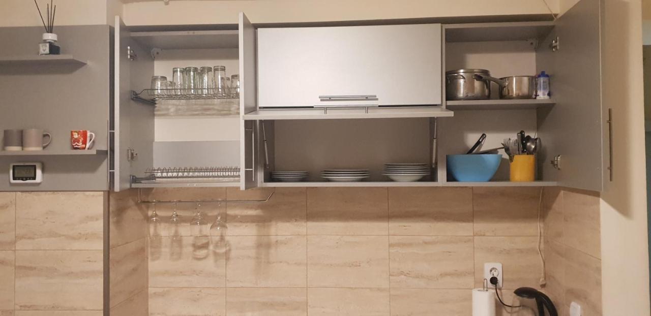 Modern & Elegant Apartament Craiova Bagian luar foto